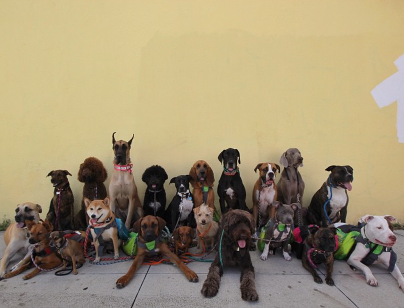 Illustration for article titled Yes, this photo is the best